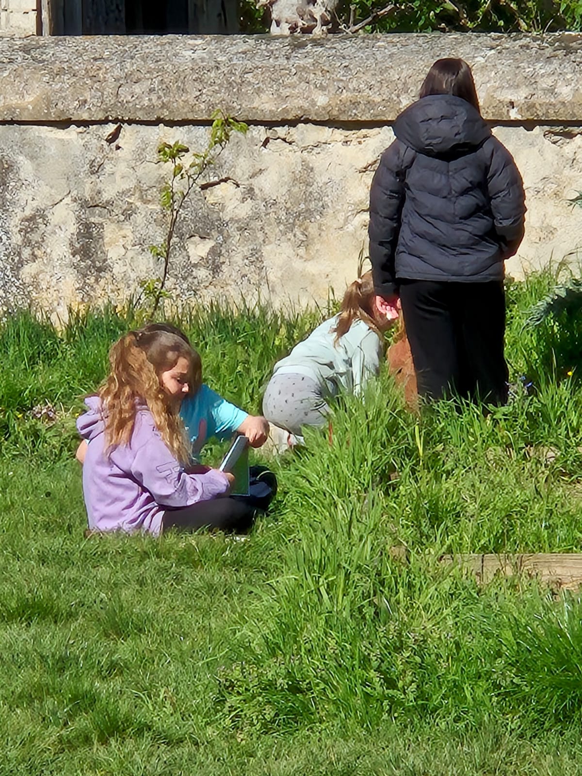 img-20250419-wa0018