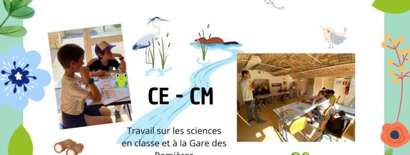 newsletter-03-mai
